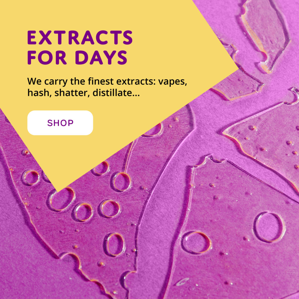 Buddalicious_extracts-shatter-hash-budder-vape-tincture-concentrates