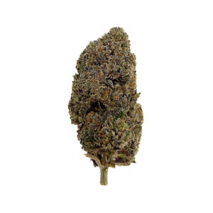 UK Cheese | Hybrid | 1oz