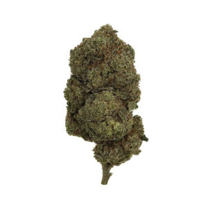 Gummy Bear | Hybrid | 1oz