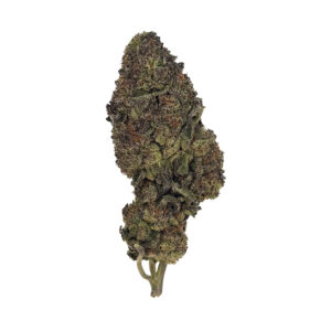 Punch Cake *DOOR CRASHER* | Hybrid | 1oz