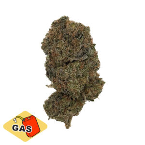 Pink Diesel | Hybrid | 1oz